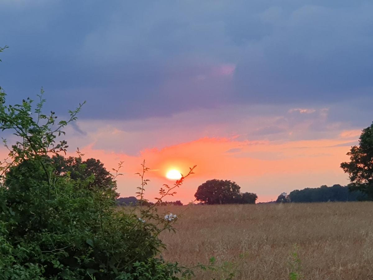 Gite De La Guernouille Luçay-le-Mâle Exteriér fotografie